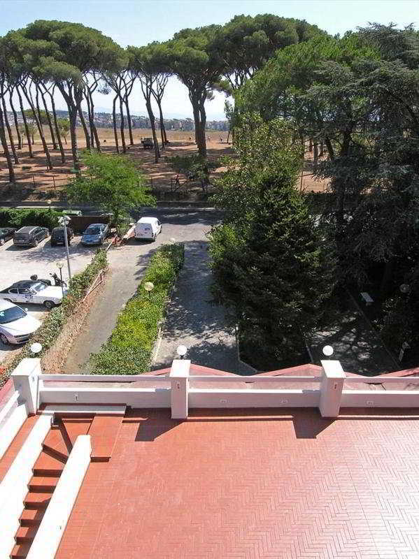 Pinewood