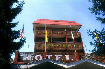 Pinewood Roma