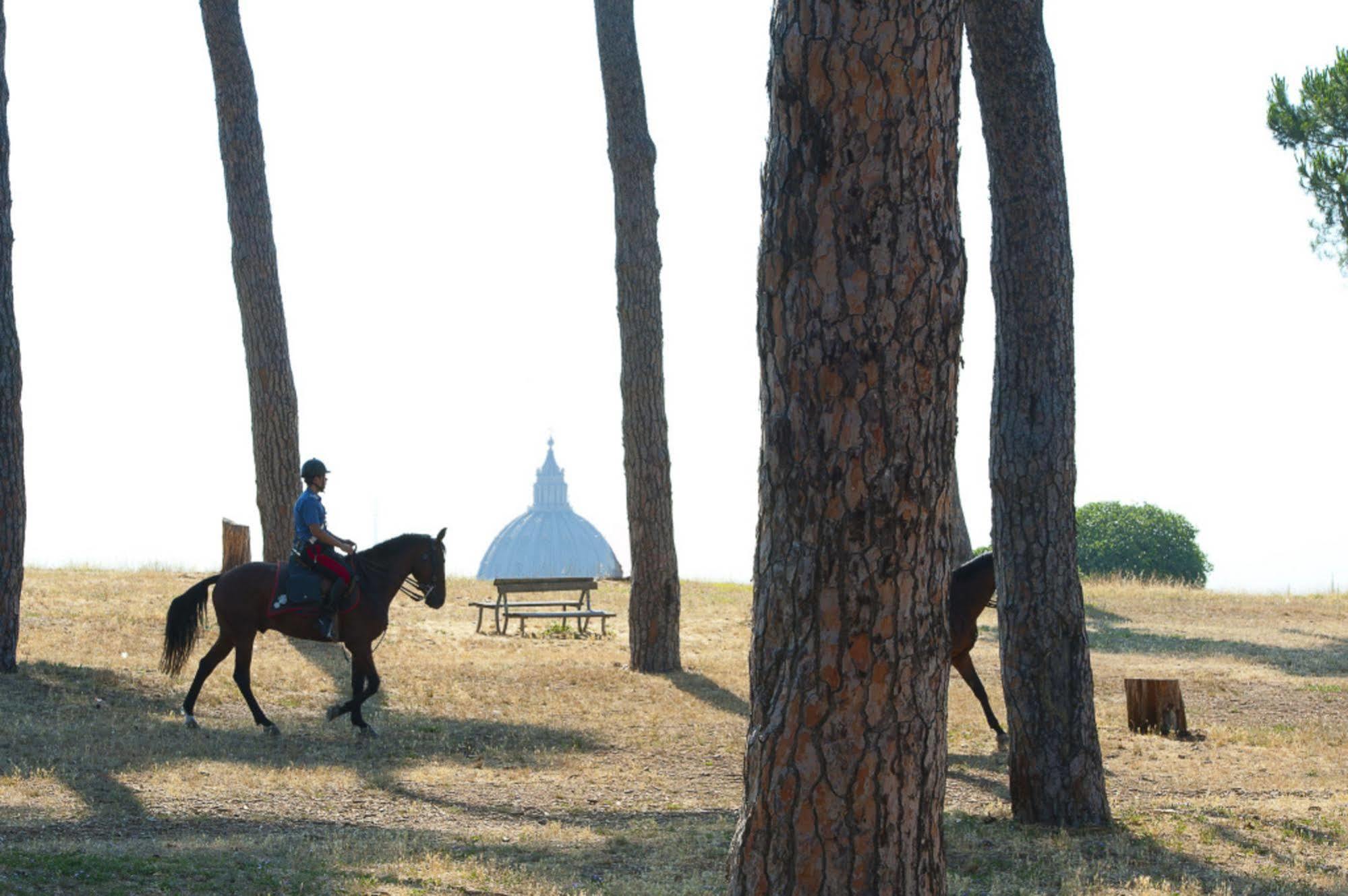 Pinewood